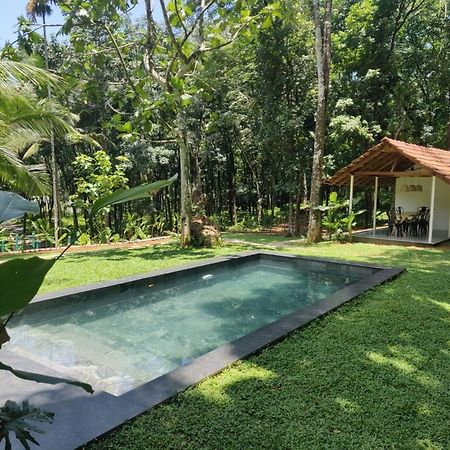 Pool Villa - The Humming Trees, Pala Lālam Zewnętrze zdjęcie